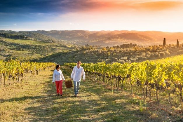 Two people walking together through a stunning Napa Valley vineyard at sunset, California.