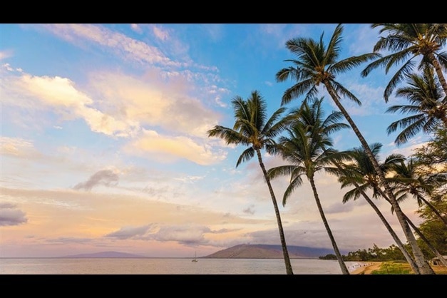 A cluster of palm trees on the beach of Kihei, Maui in Hawaii, near Maui Bay Villas, a Hilton Grand Vacations Club