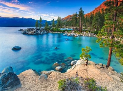 A forest and lake at Lake Tahoe, California