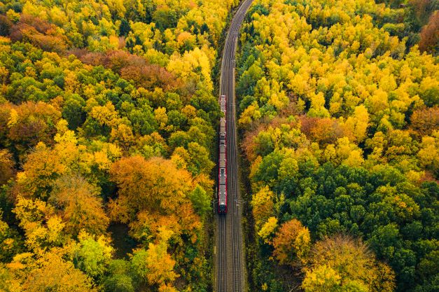 Aerial view of a train traveling through a forest with yellow, autumnal foliage