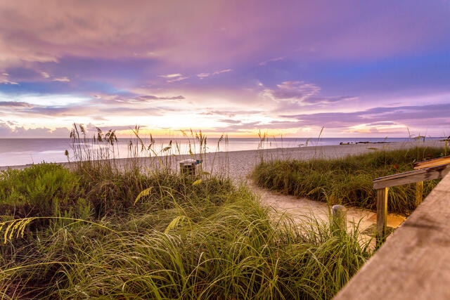 Florida beach with purple painted skies ovehead, grass lined walkway. 