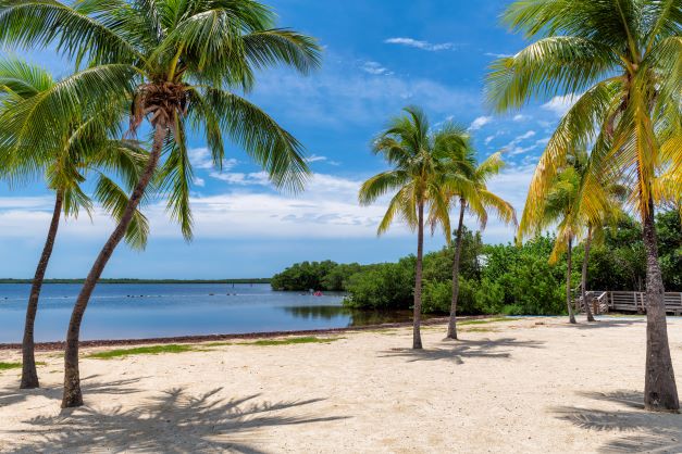 Idyllic tropical scene, palm trees, white sand, blue waters, Key Largo, Florida. 