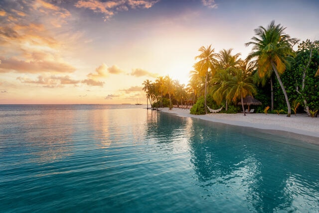 Beautiful topical scene, calm ocean waters, sun shining through palm trees. 