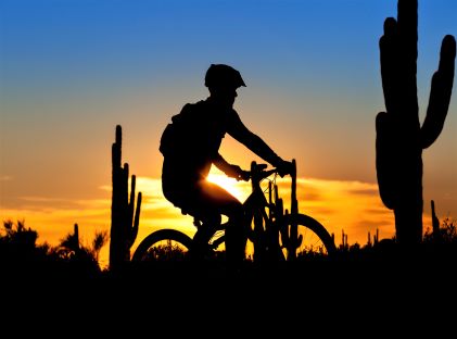 A mountain biker cycling through the Arizona desert at sunset