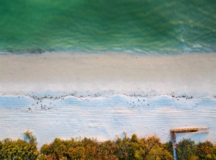 An aerial view of the beach on Paradise Coast on the southwest corner of Florida