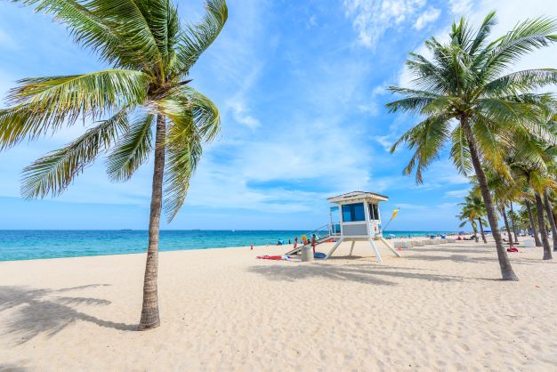 Paradise Beach at Fort Lauderdale, Florida, palms on white sand on a sunny day