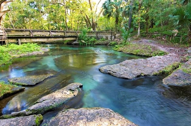 Stunning natural springs, wooden trail way,  Florida. 