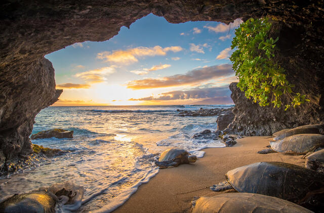 Gorgeous sea cave with sea turtles, sunset skies, Maui, Hawaii. 