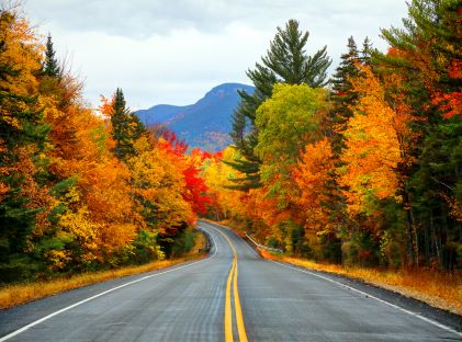 Road through fall foliage in New England
