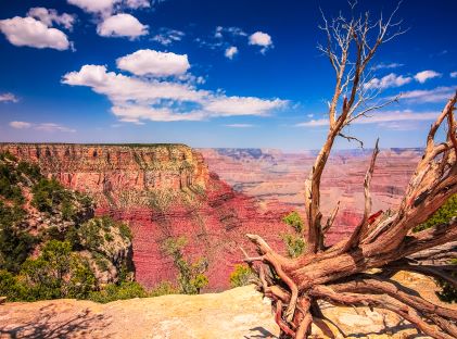 View of the Grand Canyon from the South Rim