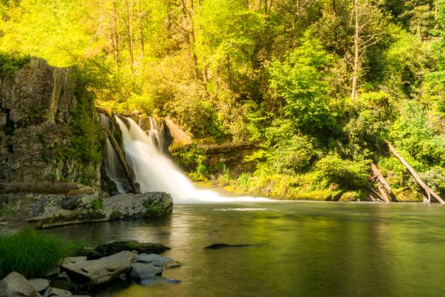 Idyllic mountain waterfall amidst lush greenery, Great Smoky Mountains. 