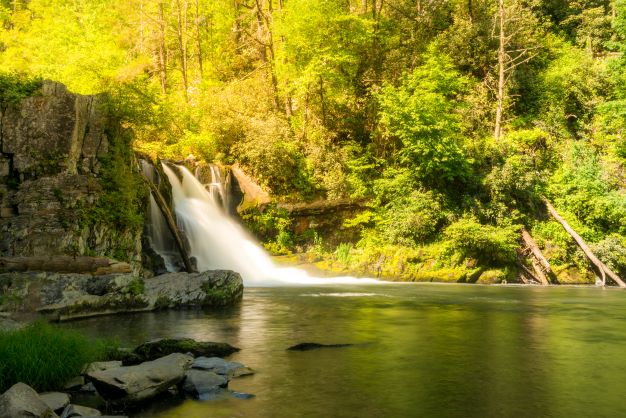 Idyllic mountain waterfall amidst lush greenery, Great Smoky Mountains. 