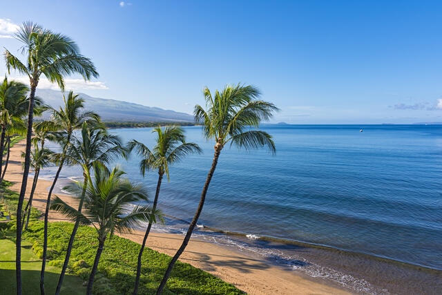 Aerial image, idyllic tropical beach, palm trees swaying and waves crashing ashore. 
