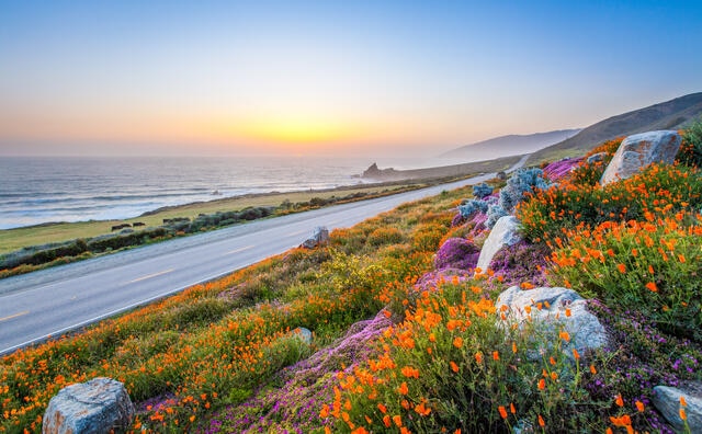 Beautiful open road aerial , wildflowers, ocean, sunset skies.