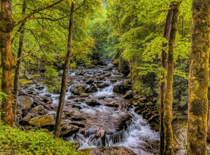 Little River in the forest of the Great Smoky Mountains in Tennessee in summer