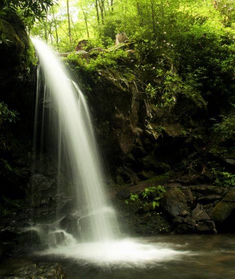 Grotto Falls, a tall waterfall in the forest of the Great Smoky Mountains National Park in Tennessee