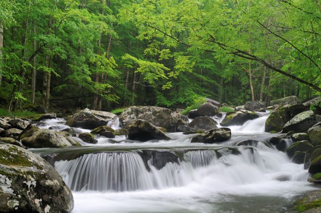 The Large Cascade in the middle prong of the Little Pigeon River in the forest of the Great Smoky Mountains National Park in Tennessee