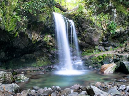 Waterfall into a pond in the Great Smoky Mountains National Park in Tennessee