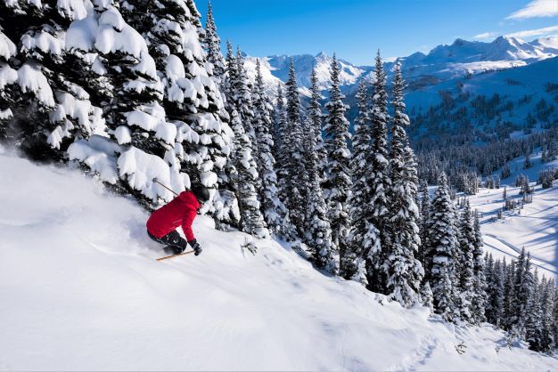 A skier enjoying fresh snow in Whistler, Canada