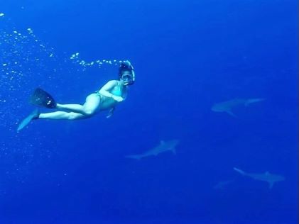 A Hilton Grand Vacations swimming with marine wildlife in Hawaii