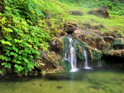 A waterfall and pond with greenery at Hot Springs National Park in Arkansas
