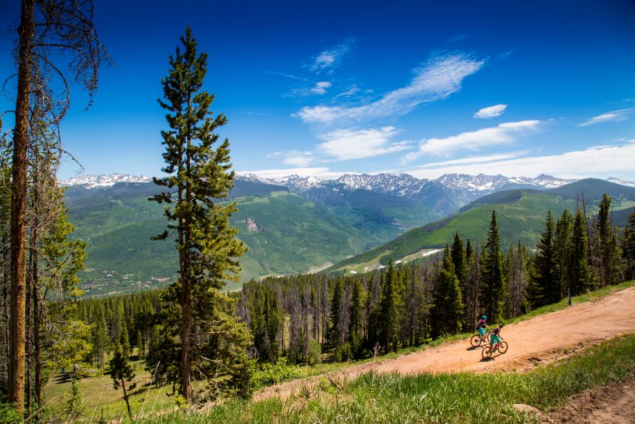 Mountain bikers on picturesque uphill ride, Breckenridge, Colorado.