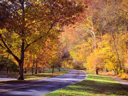Autumn foliage in Rock Creek Park in Washington, D.C.