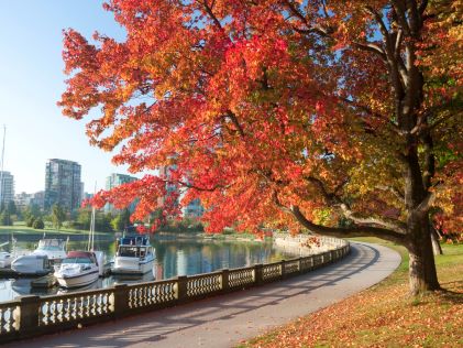 A stretch of Stanley Park with fall foliage in Vancouver, British Columbia, Canada