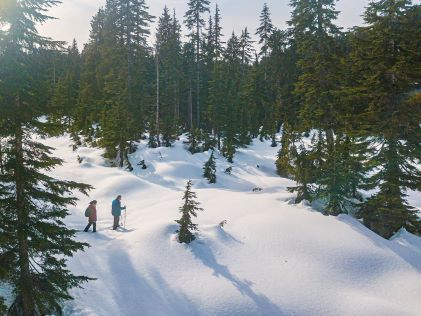 An aerial view of a couple snowshoeing in North Vancouver, British Columbia, Canada
