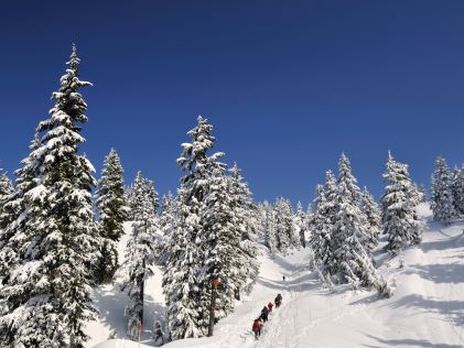A group of people on Mount Seymour in North Vancouver