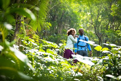 Couple admiring lush rainforest, hiking, Big Island, Hawaii. 