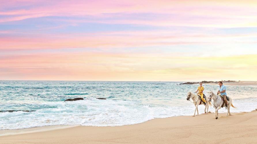 Idyllic image, couple horseback riding along tropical beach, cotton candy skies, Los Cabos, Mexico. 