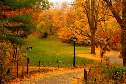 Wide shot, people enjoying picnic, autumn colors, Central Park, New York, New York. 