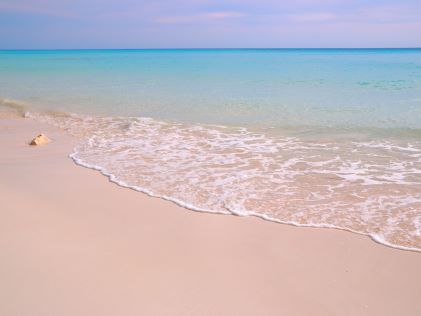 A pink sand beach in the Caribbean