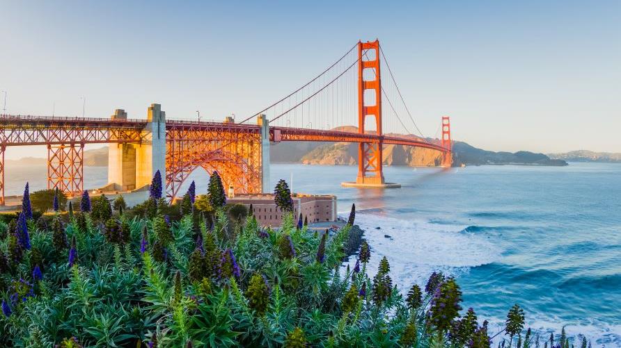 Stunning image, Golden Gate Bridge in distance, waves crashing, wild flowers, clear blue skies, San Francisco, California. 