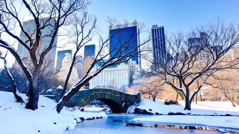 Festive Things To Do In New York Hilton Grand Vacations