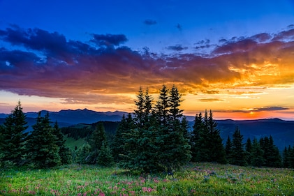 Wildflowers in mountain meadow at sunset with warm light, Colorado