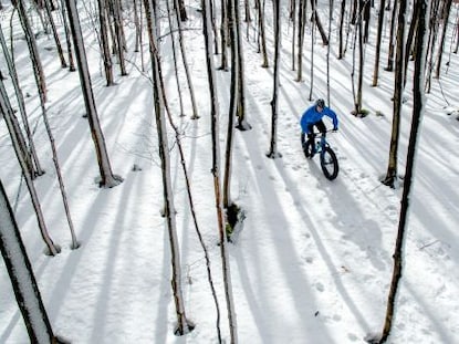 A snow biker in the snowy woods near Traverse City, Michigan