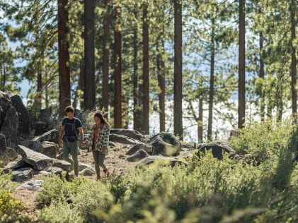 A couple hikes while holding hands in a forest in South Lake Tahoe in California