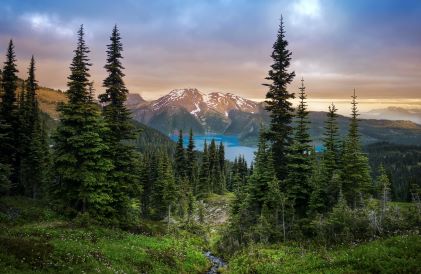 Beautiful mountain vista, turquoise lake waters, snow-capped mountains in distance, evergreens in foreground, Whistler, British Columbia, Canada. 