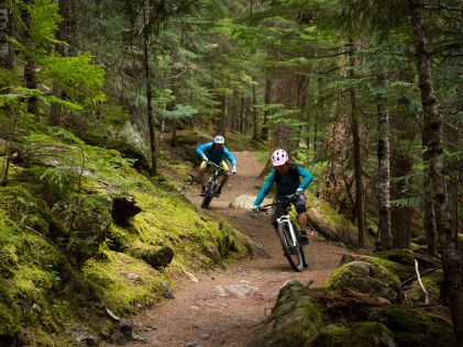 Two mountain bikers on a forested course