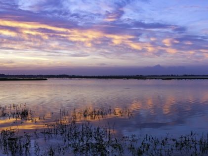 Florida wetlands near Kissimmee at susnet