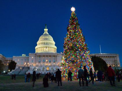 A lit up Christmas tree outside of the Capitol in Washington, D.C.