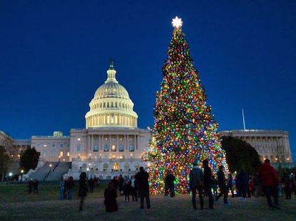 A lit up Christmas tree outside of the Capitol in Washington, D.C.