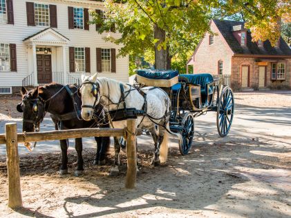 Two horses and a buggy at Colonial Williamsburg in Virginia