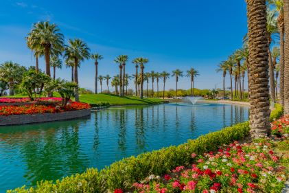 Beautiful desert oasis, palm tree-line fountain, clear blue skies, Palm Springs, California. 