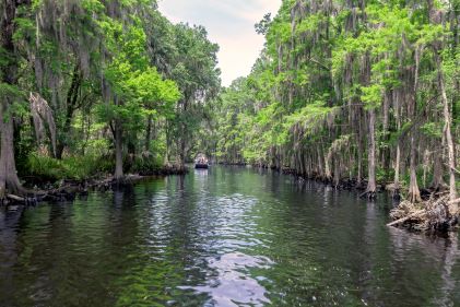 Peaceful Florida waterway, lined with lush green trees, blue skies overhead, Orlando, Central Florida. 