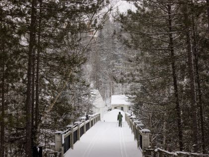 Snowy path in forest in Canada