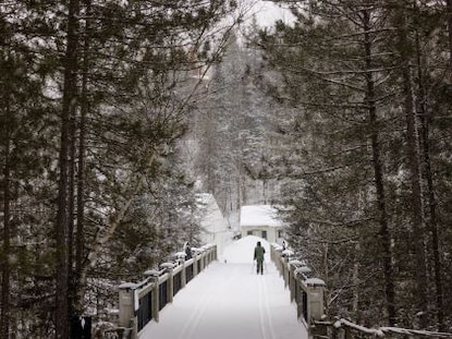 Snowy path in forest in Canada