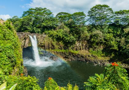 Beautiful tropical image, waterfall, thick rainforest, Big Island, Hawaii. 